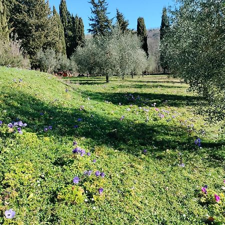Agriturismo Natura E Salute San Gimignano Exterior photo