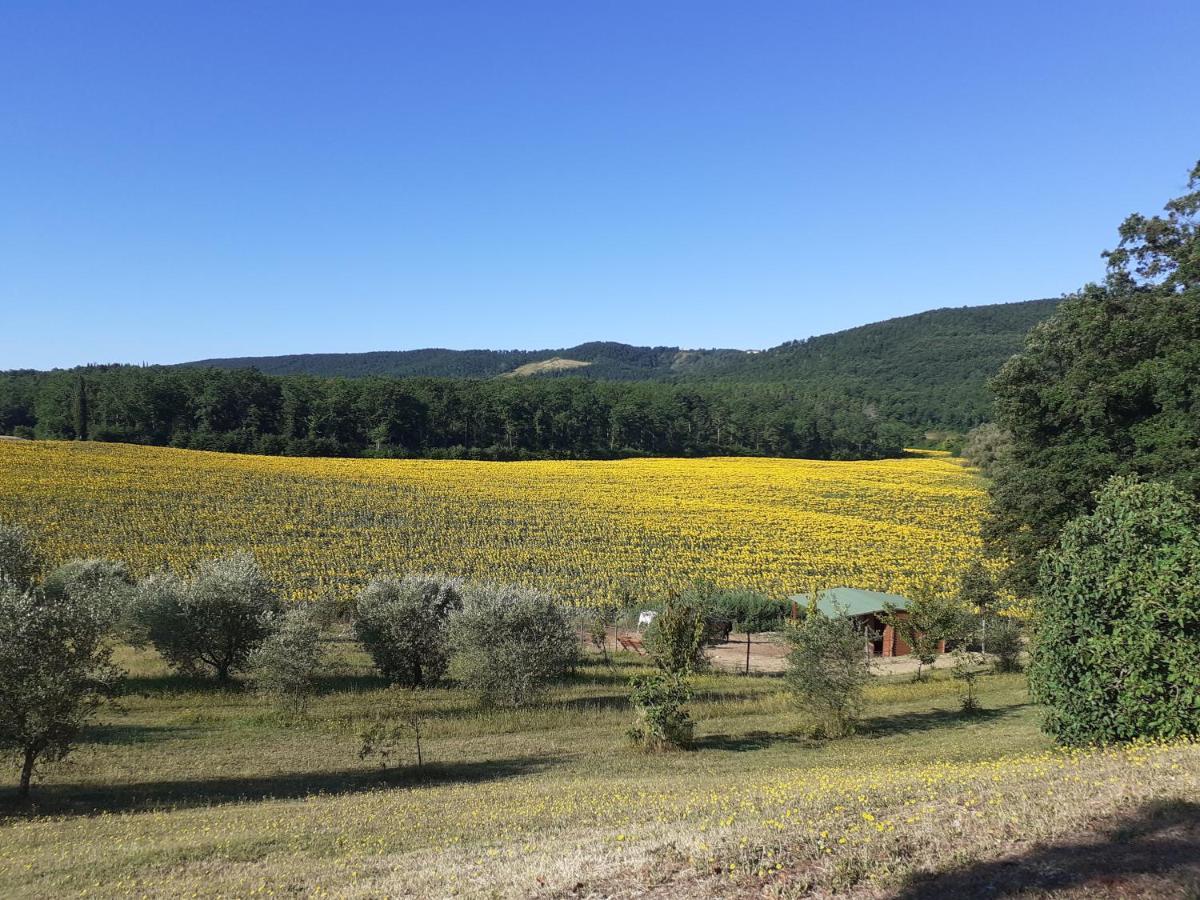 Agriturismo Natura E Salute San Gimignano Exterior photo