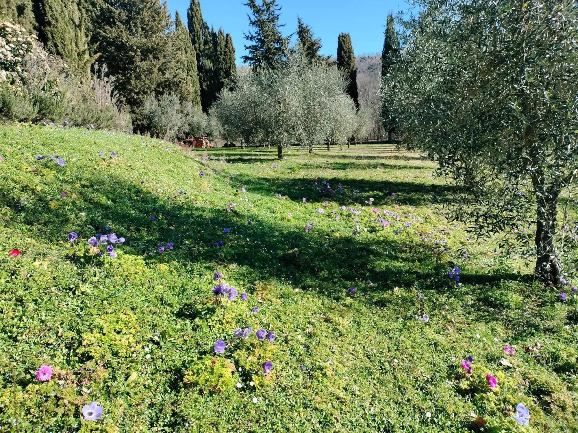 Agriturismo Natura E Salute San Gimignano Exterior photo