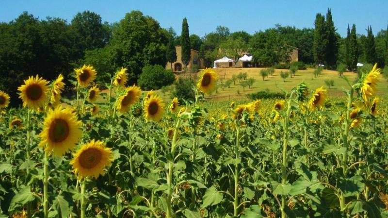 Agriturismo Natura E Salute San Gimignano Exterior photo